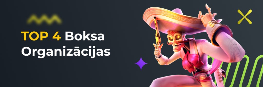 TOP 4 Boksa Organizācijas